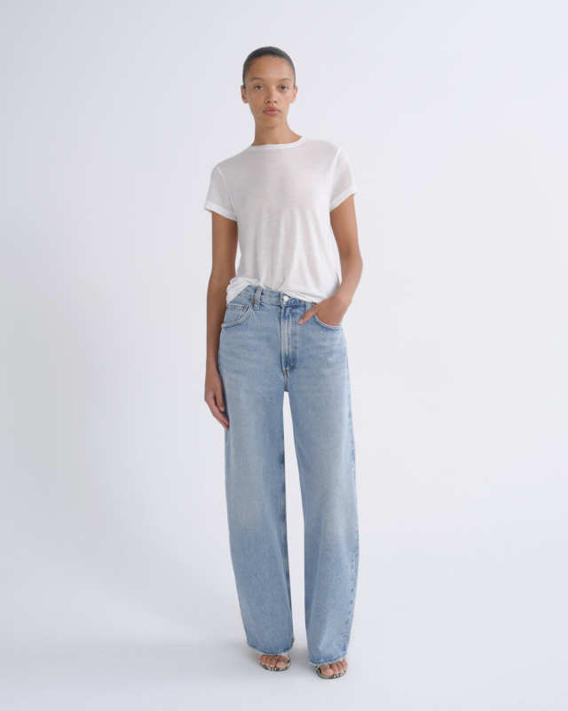 AGOLDE Low Curve Jean
