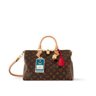 LOUIS VUITTON Speedy Soft 30 Crafty