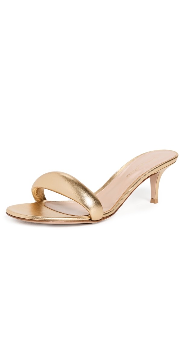 Gianvito Rossi Bijoux Mules 55mm Mekong