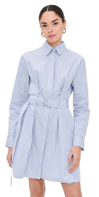 Proenza Schouler Viola Dress Pale Blue