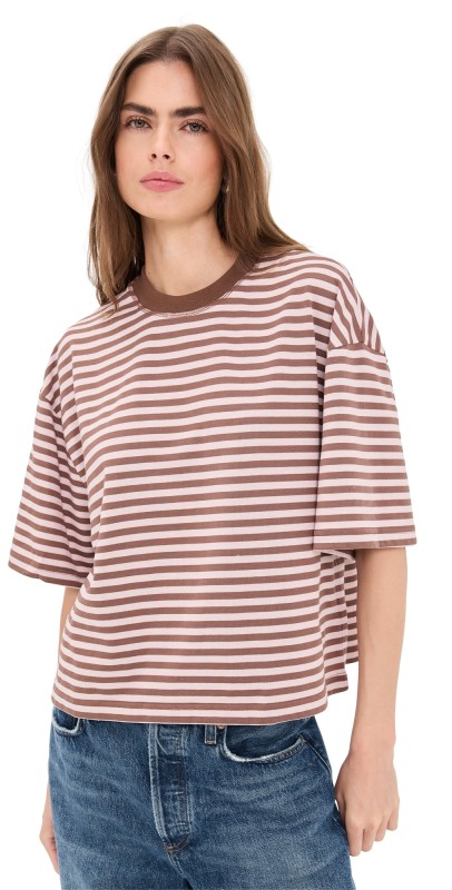 Lioness Bloom Short Sleeve Tee Chocolate Blush Stripe
