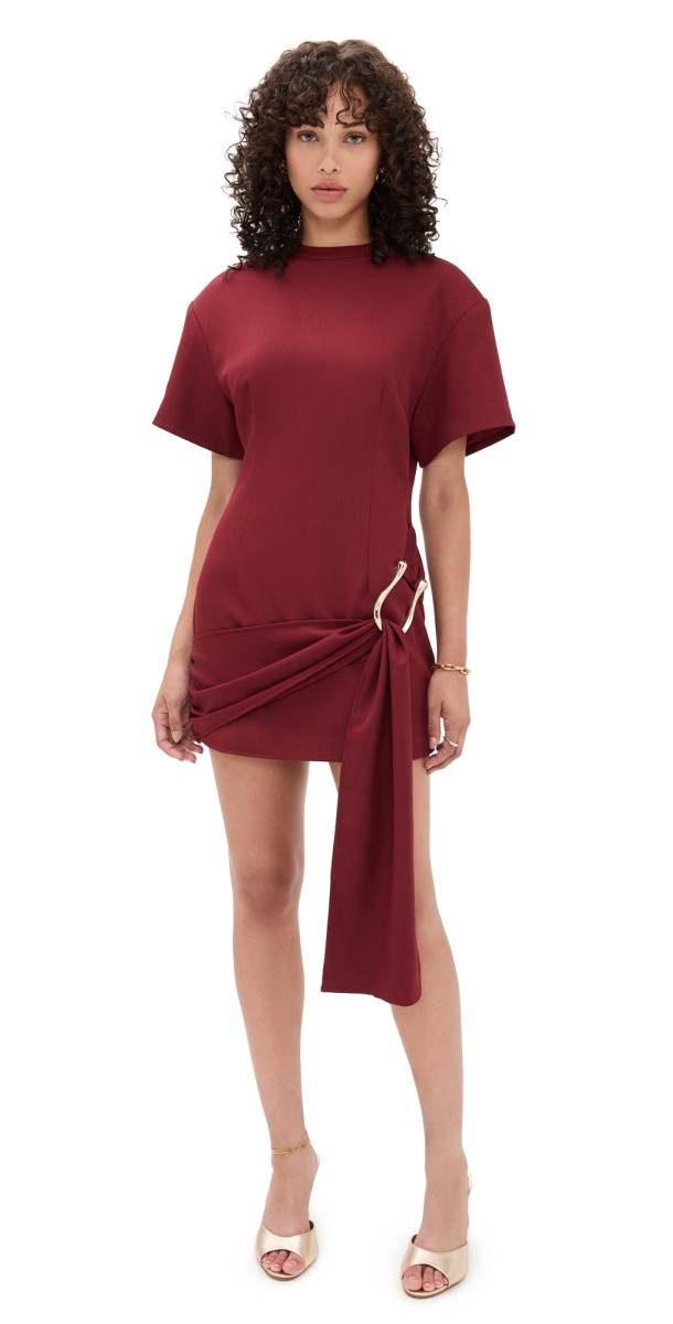 Lioness Martini Mini Dress Merlot