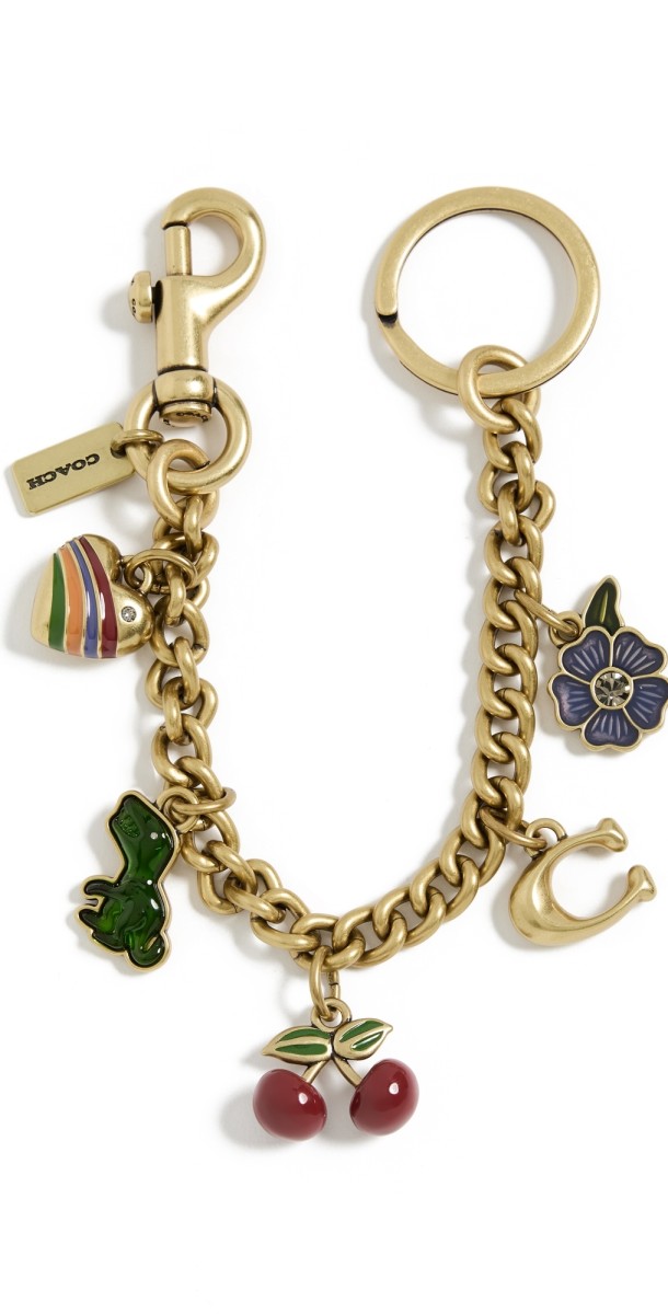 Coach Charm Bracelet Charm Keychain Mult