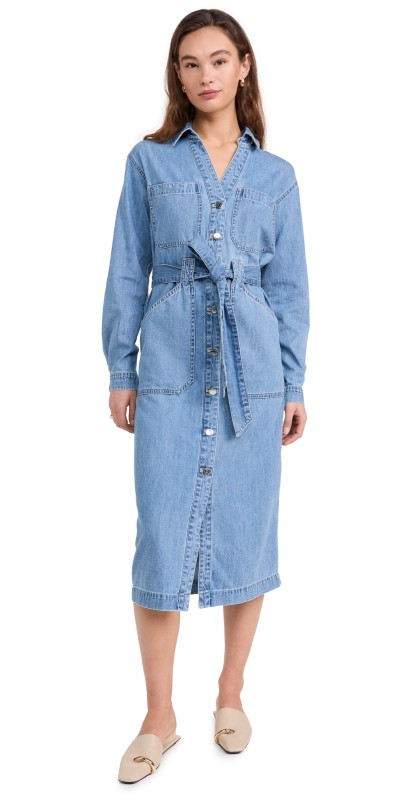 Veronica Beard Jean Evelyn Dress Starlight