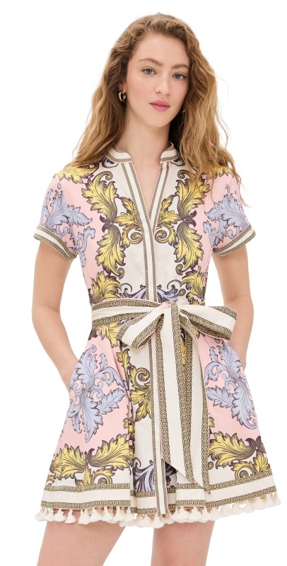 alice + olivia Lucy Mini Shirt Dress Day Dreamer