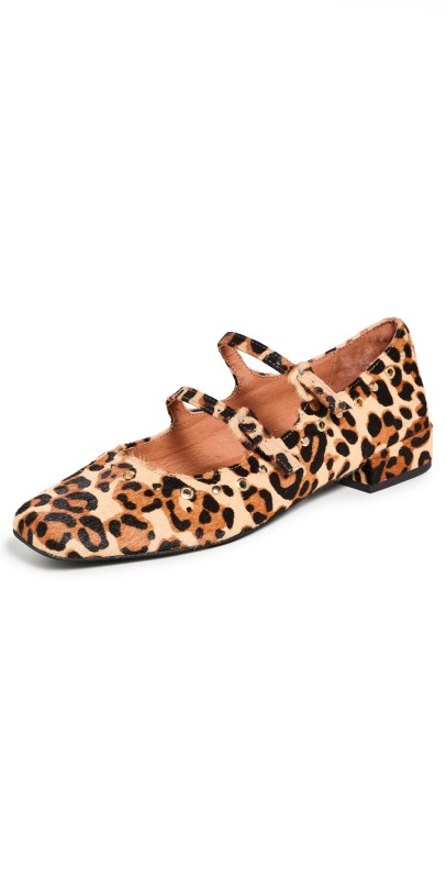 Intentionally Blank Venezuela Flats Leopard