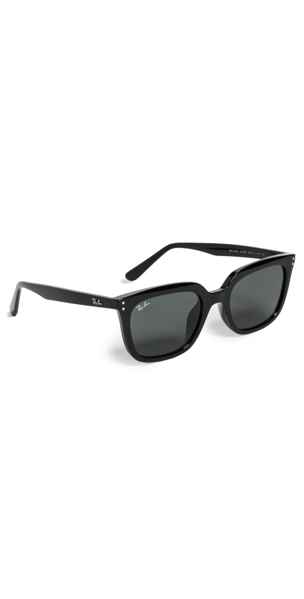 Ray-Ban 0RB4439D Sunglasses Black