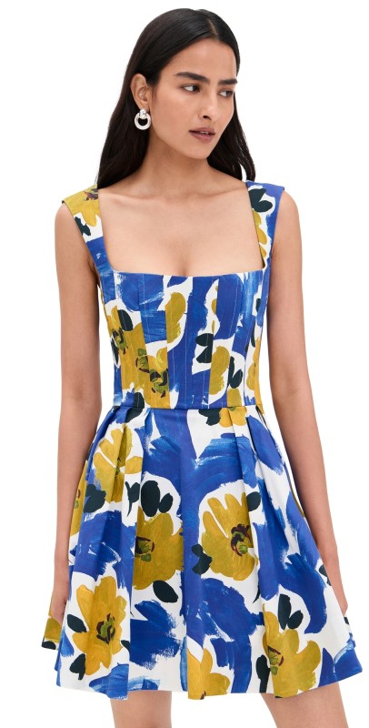 Rebecca Vallance Sabina Mini Dress Print