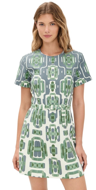 ALEXIS Silva Dress Blue/Sage Print