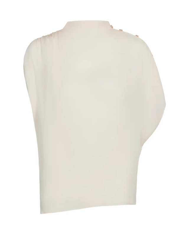 Wish You Would Top in Silk Georgette