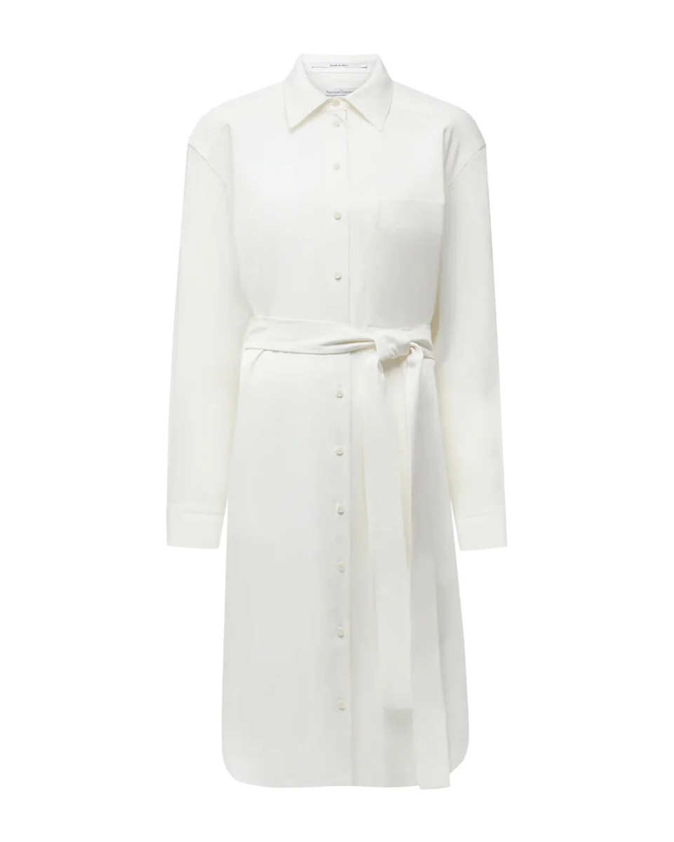 Pleat Back Shirt Dress