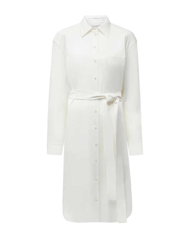 Pleat Back Shirt Dress