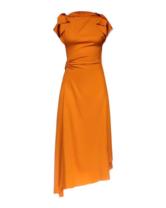 Drape Sleeve Midi Dress