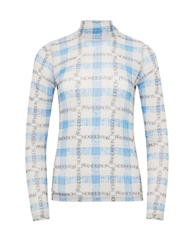 Sheer Long Sleeve Turtleneck Top