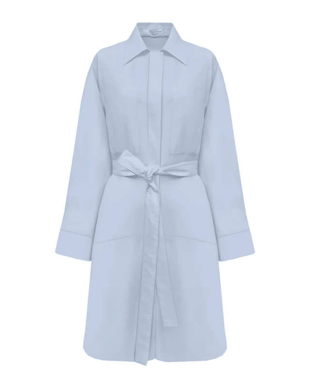 Shirt Dress