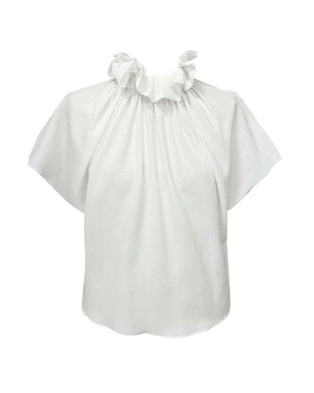 Ruff Blouse