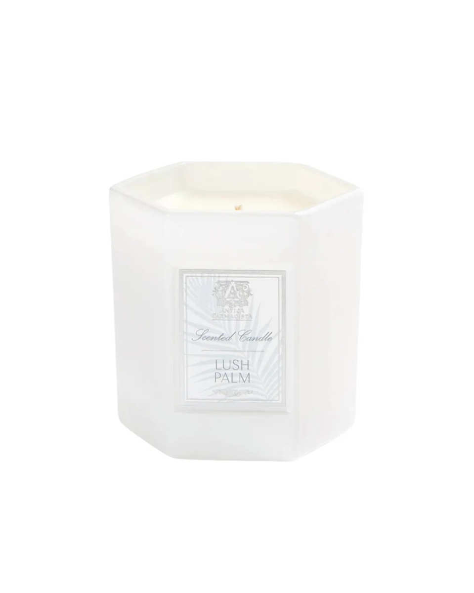 Lush Palm Candle