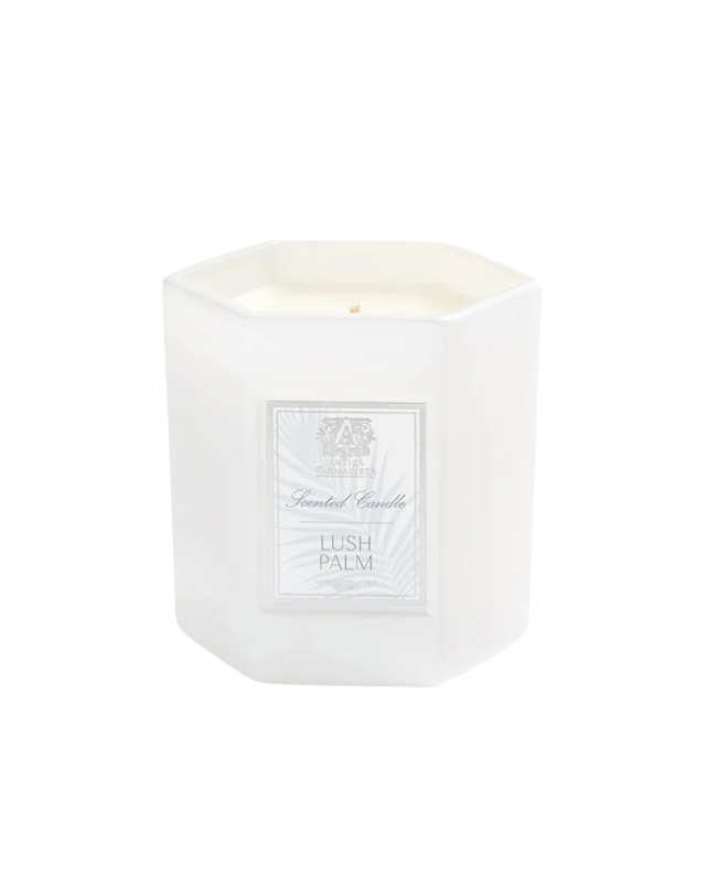 Lush Palm Candle