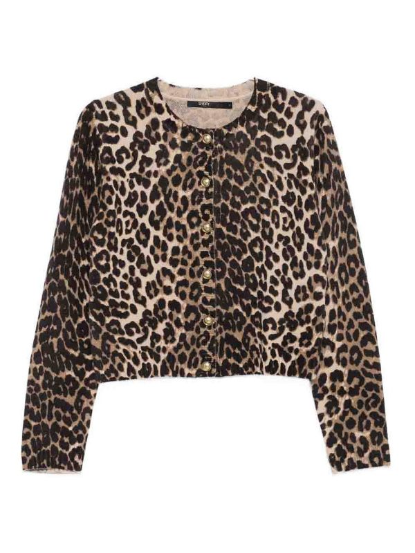 Seventy Pull Col Rond - Marron