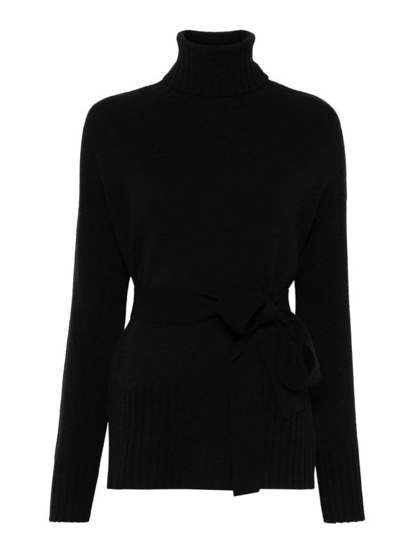 Wild Cashmere Pull Col Roulé - Noir