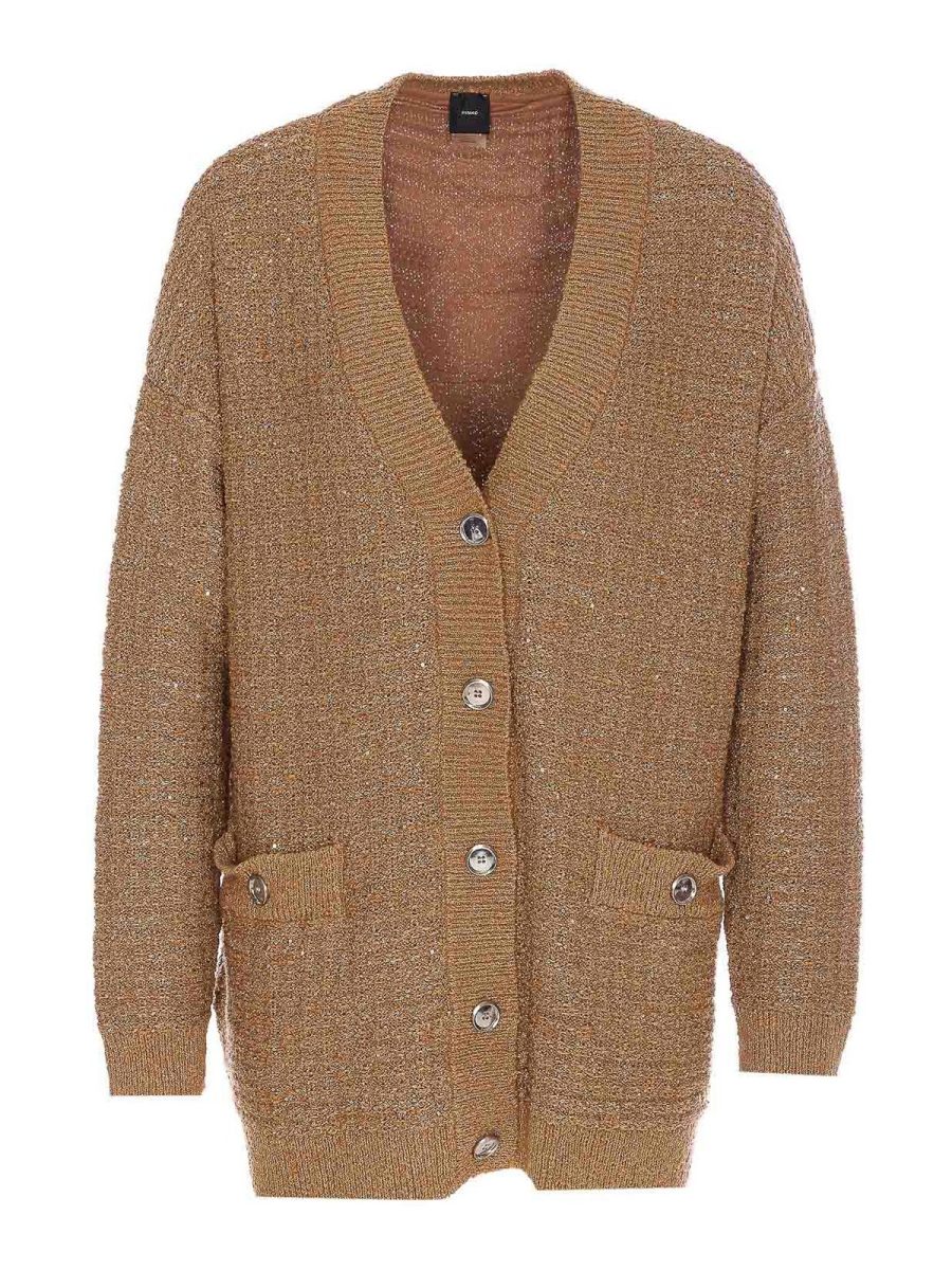 Pinko Cardigan - Marron