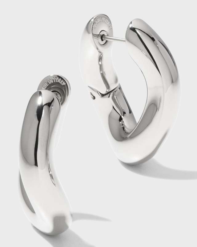 Loop Earrings