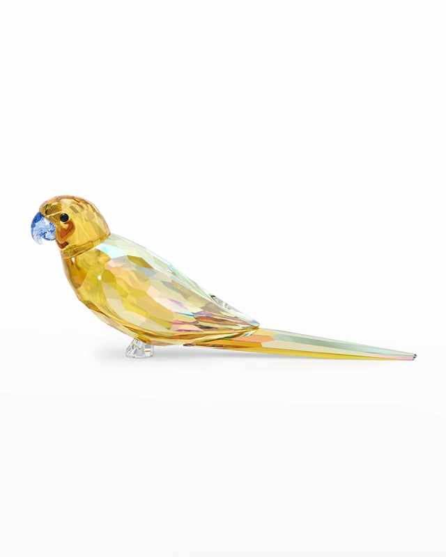Jungle Beats Yellow Parakeet Lechee
