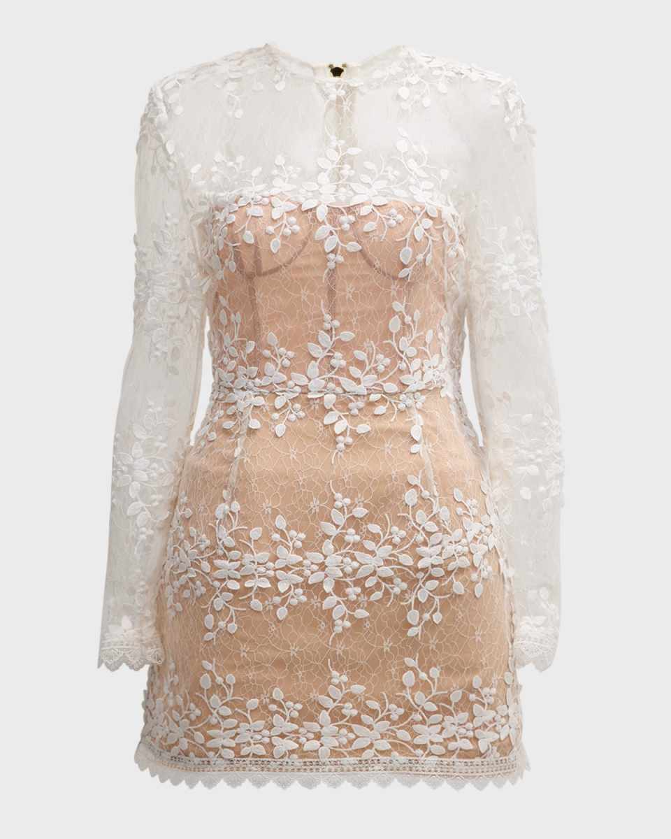 Masey Applique Lace Illusion Mini Dress