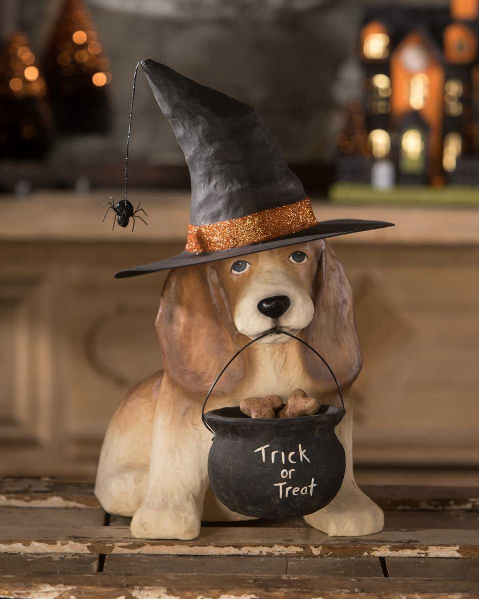 Trick Or Treat Dog