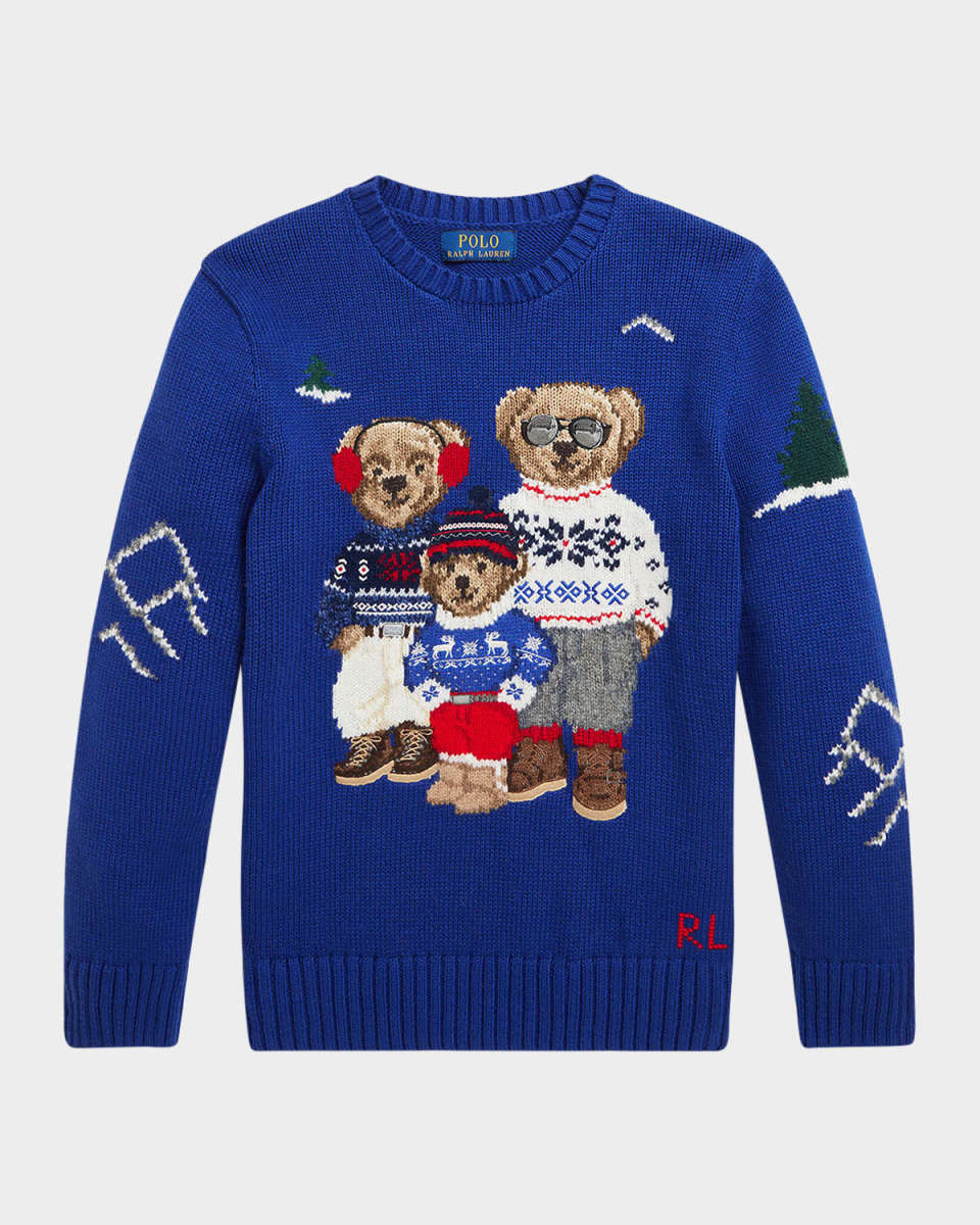Boy's Polo Bear Intarsia Sweater, Size 2-6