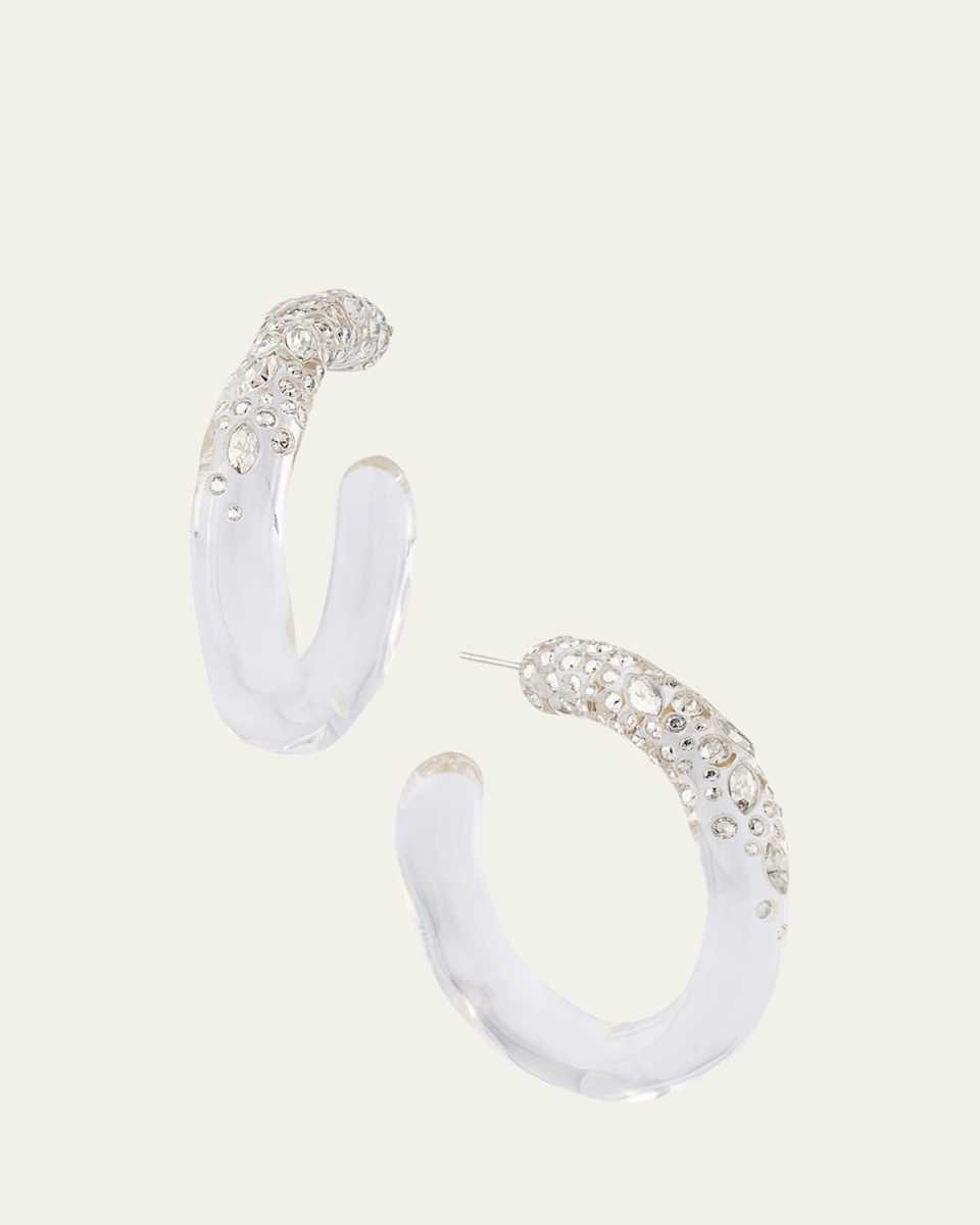 Confetti Crystal Lucite Hoop Earrings