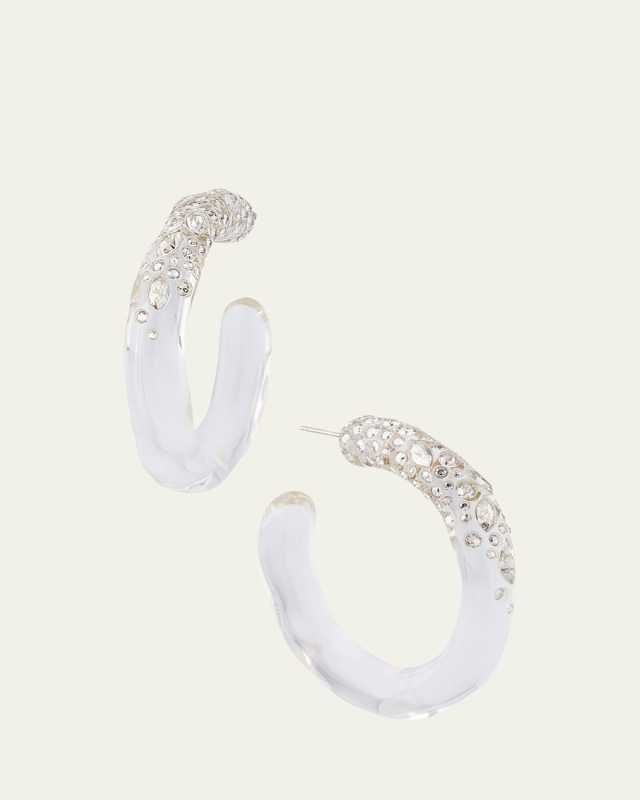 Confetti Crystal Lucite Hoop Earrings