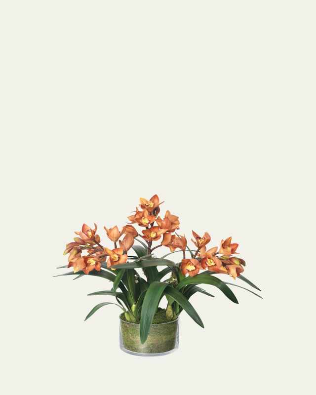 Rust Cymbidium Orchid Stems 22" Faux Floral Arrangement in Glass Cylinder with Moss