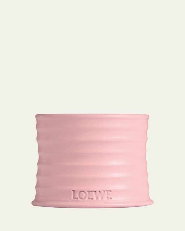 Small Ivy Candle, 5.8 oz.