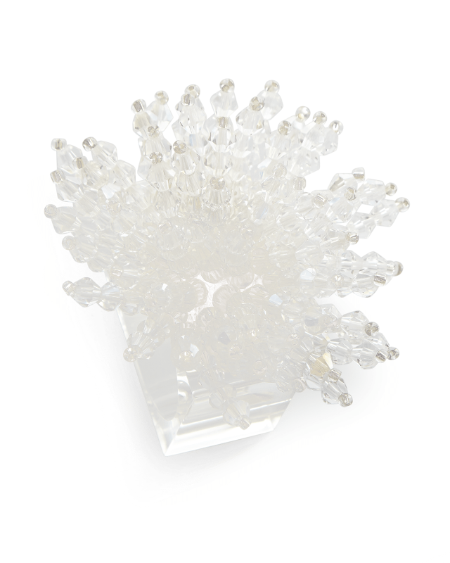 Brilliant Napkin Ring