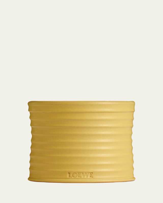 21.5 oz. Medium Honeysuckle Candle