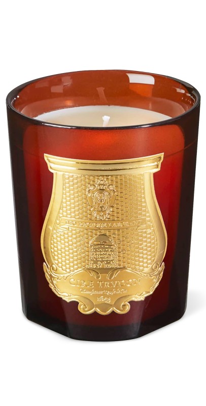 Trudon Cire Candle Beeswax Absolute
