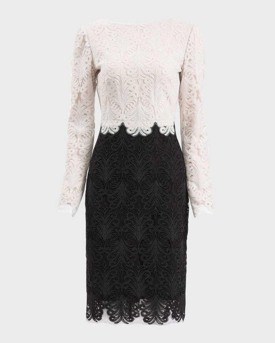 Two-Tone Corded Lace Dress