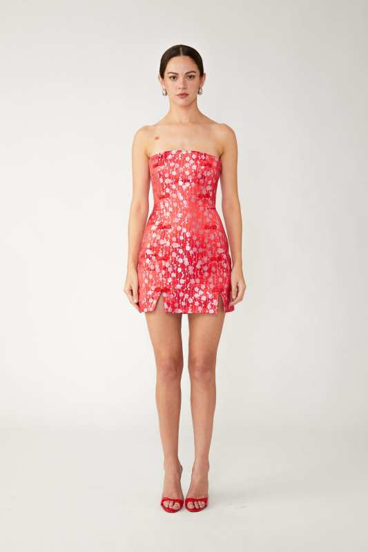 Jenny Strapless Mini Dress
