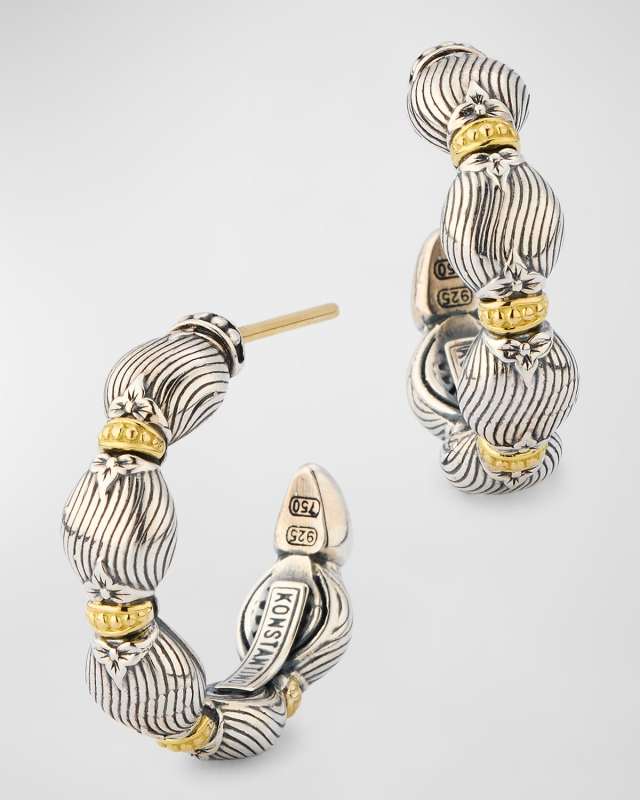 Silver and Gold Hoop Earrings