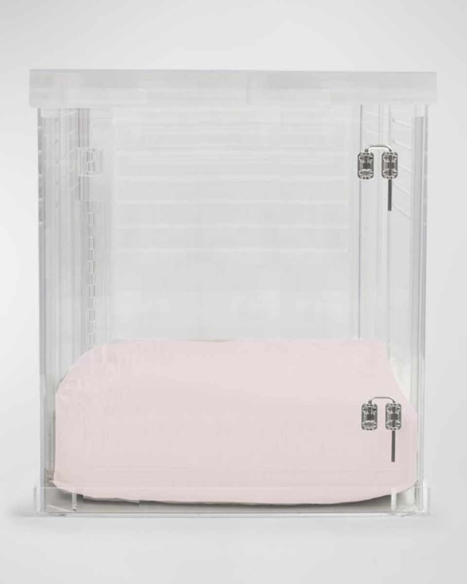 Medium Clear View Pet Crate with Silver Latch