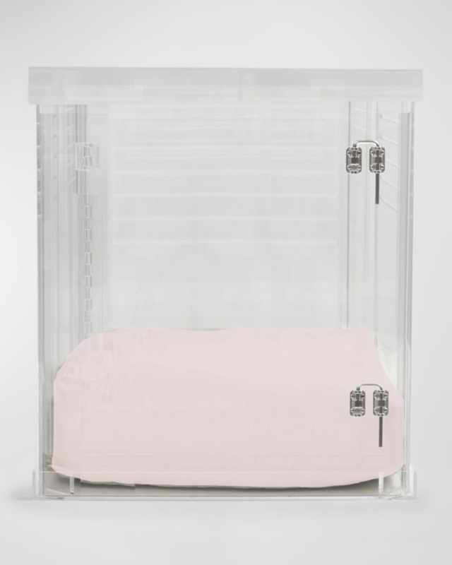 Medium Clear View Pet Crate with Silver Latch