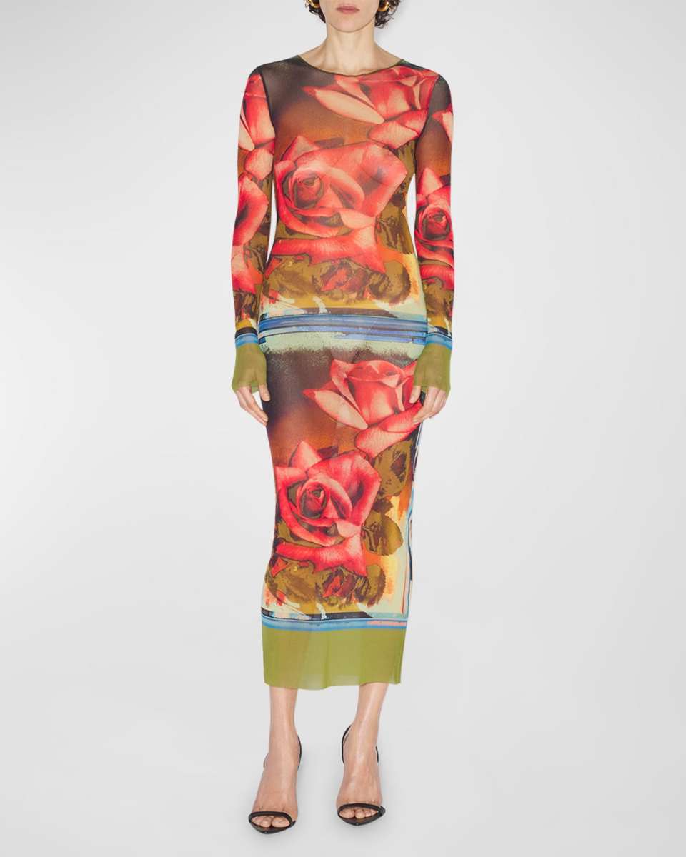 Roses-Print Long-Sleeve Mesh Maxi Dress