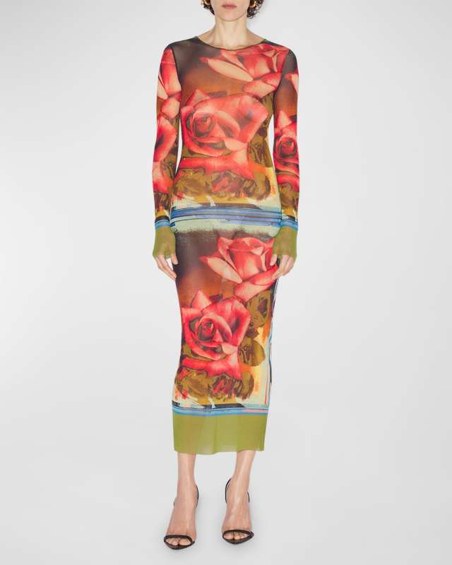 Roses-Print Long-Sleeve Mesh Maxi Dress