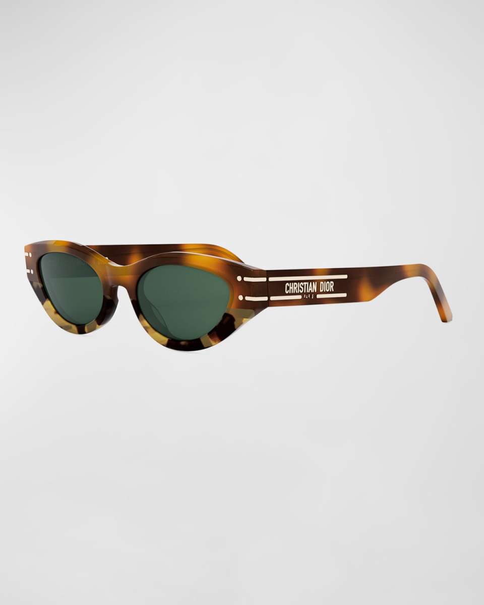 DiorSignature B5I Sunglasses