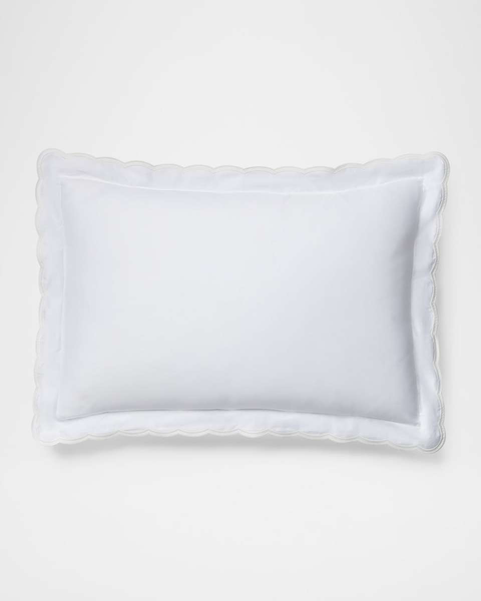 Malin Organic Cotton Scallop