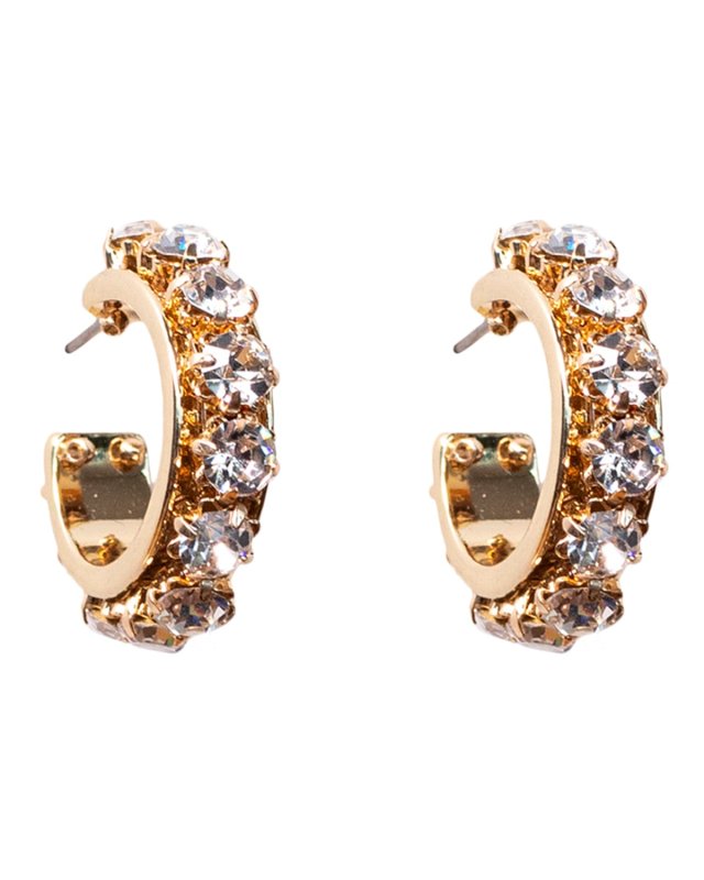 Wynnie Crystal Hoop Earrings