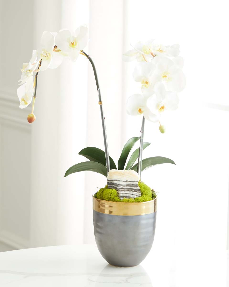 Double Orchid Faux Florals in Gold-Rimmed Ceramic Pot with Zebra Stone - 22"