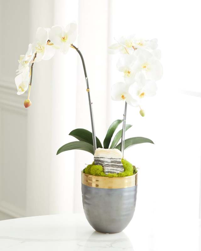 Double Orchid Faux Florals in Gold-Rimmed Ceramic Pot with Zebra Stone - 22"