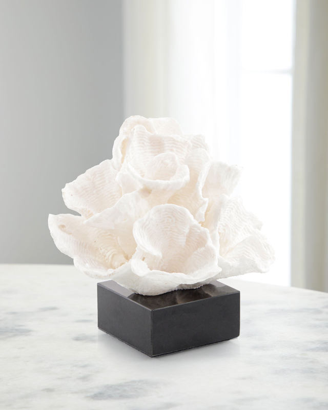 Foliose Coral on Black Marble Base